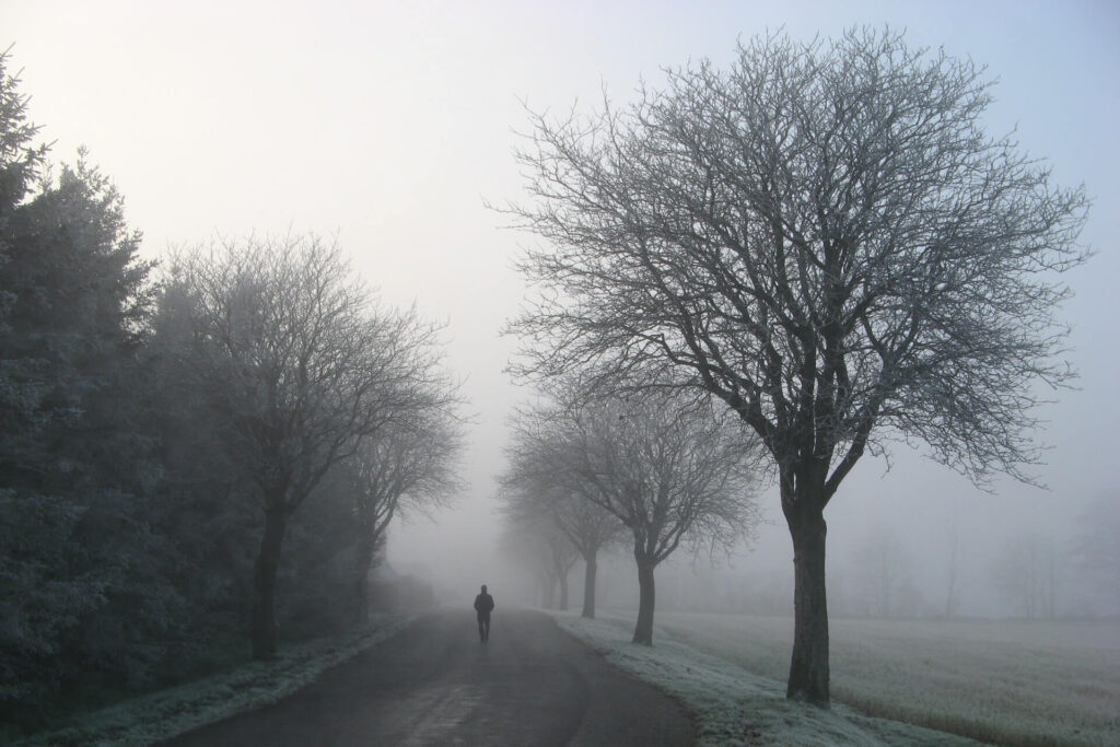 A Cool Morning with fog