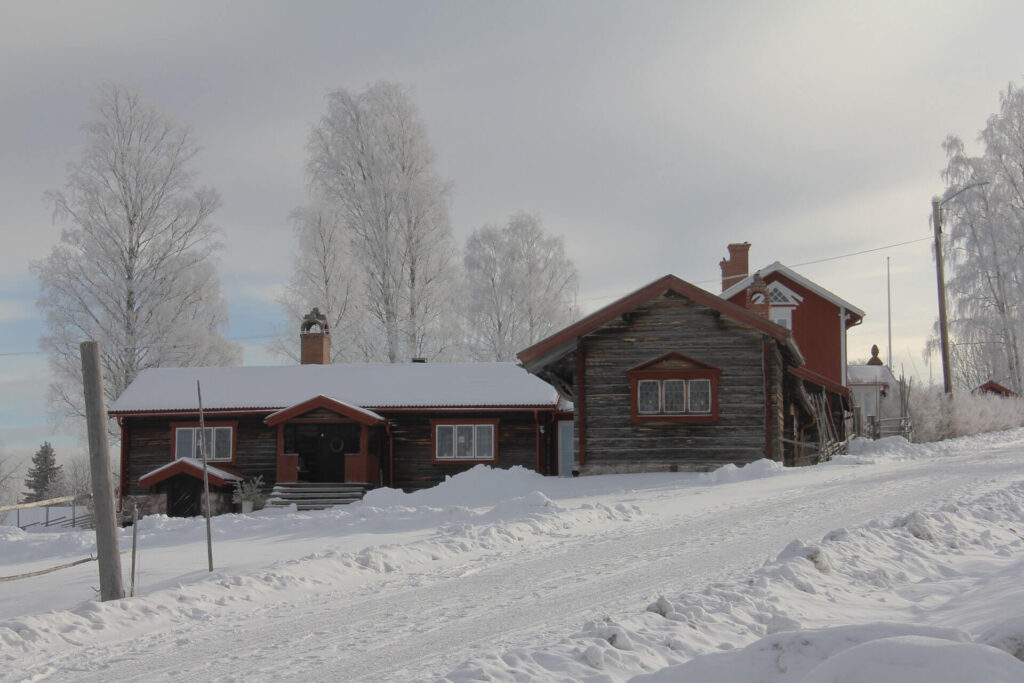 Dream House In Cool Place